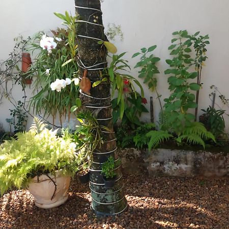 San Remo Apartamento Praia Do Tombo Гуаружа Екстериор снимка